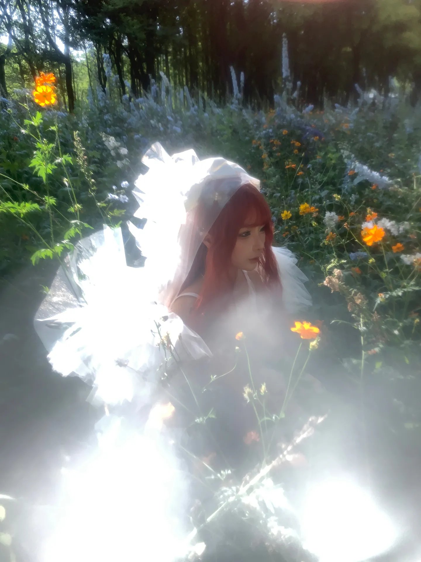 [蠢沫沫] [67P - 901.81MB] 写真 - 花丛婚纱 - 图片 65